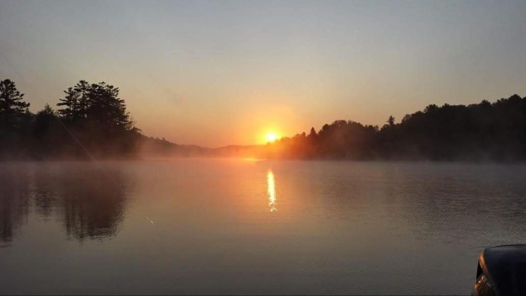 Muskoka Shores Cottages Port Carling Exteriör bild