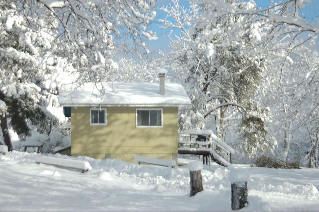 Muskoka Shores Cottages Port Carling Exteriör bild
